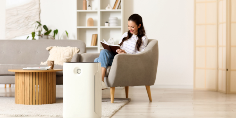 whole home humidifier