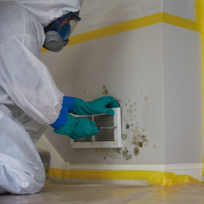 Mould growth being removed from air duct wall